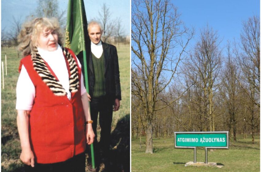 Utopinę idėją pavertė kūnu: „Atgimimo“ ąžuolynas Kėdainiuose ošia jau 36 metus