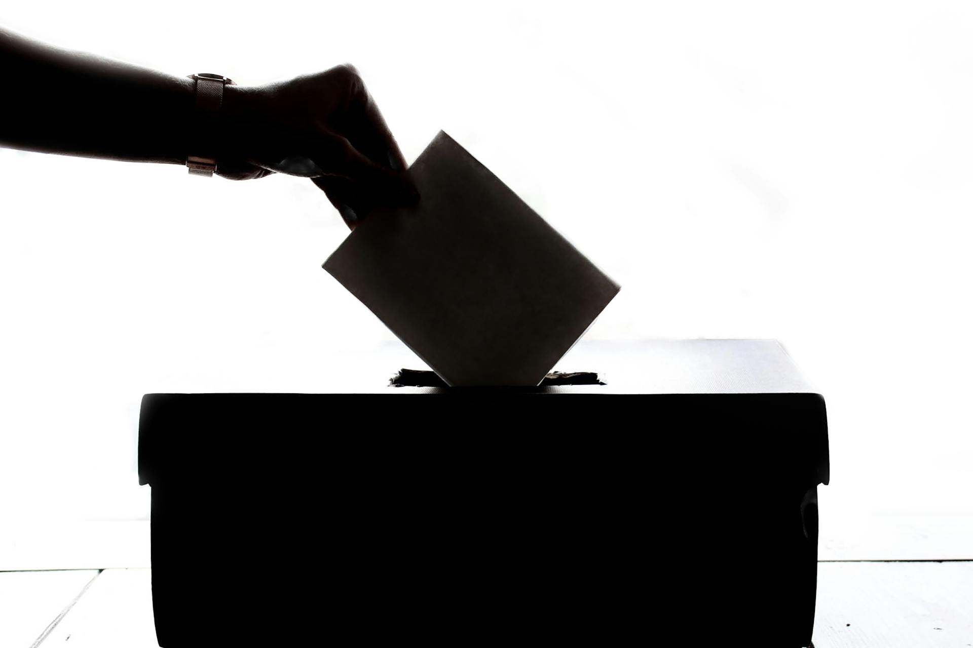 „Girdžiu tavo nuomonę“. Kas kelia didžiausią grėsmę Lietuvos demokratijai?