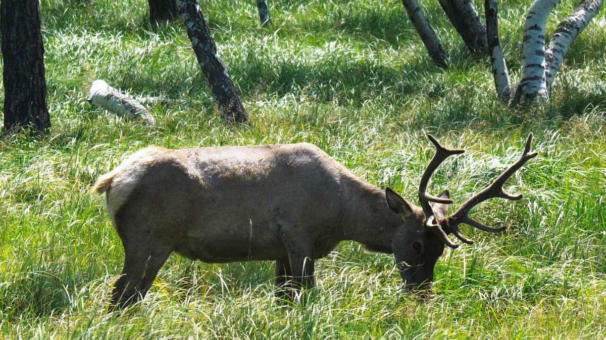 Kai ruduo sugrąžina vasarą: bobų vasaros paslaptys