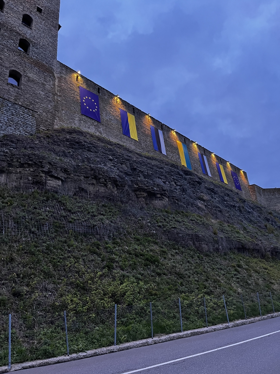 Autoritarizmas romantiniame peizaže