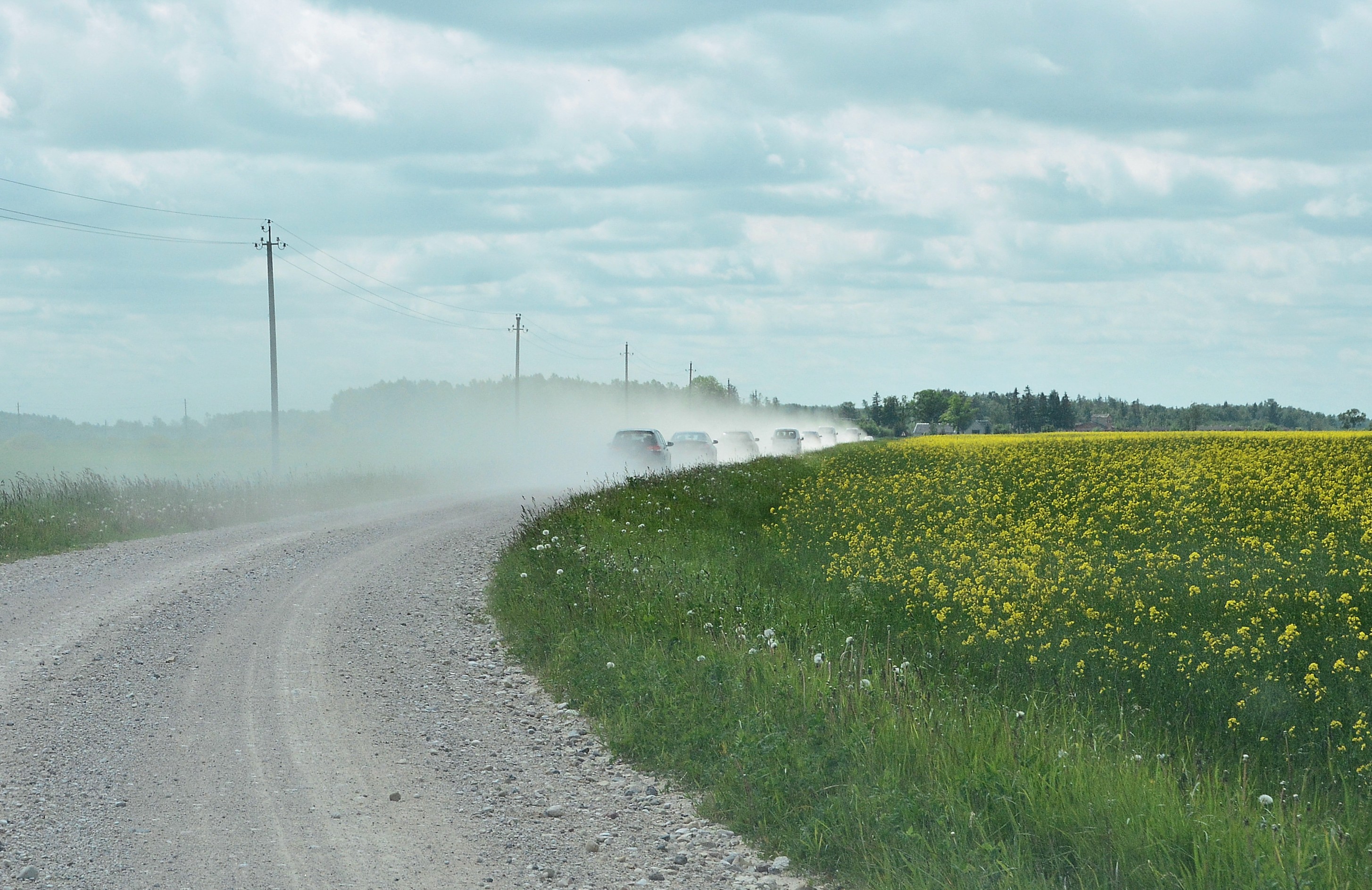 Žvyrkelių Lietuvoje mažėja, bet jie neišnyks