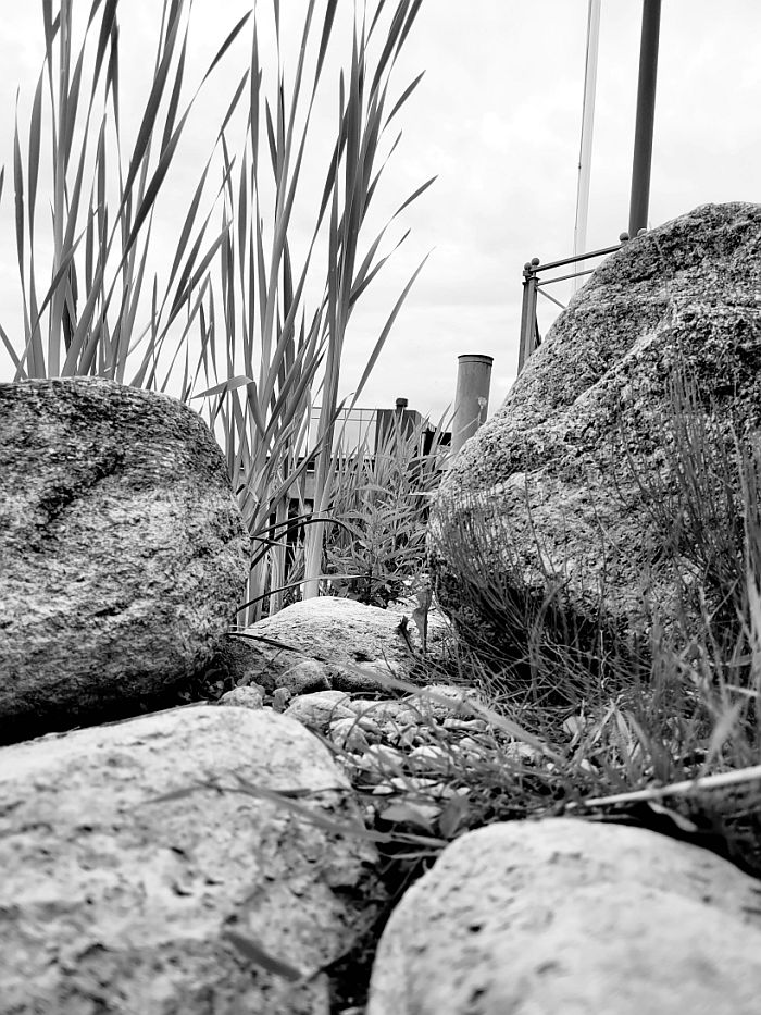 Nedidelė išpažintis