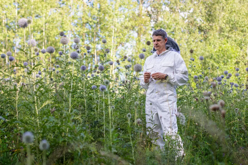 Bitininkas L. Galvonas: tokio prasto sezono net ilgaamžiai bitininkai neprisimena