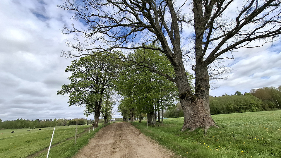 Žinomos ir negirdėtos istorijos