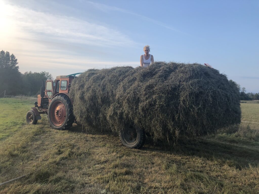 Šienapjūtė, kokios nebėra