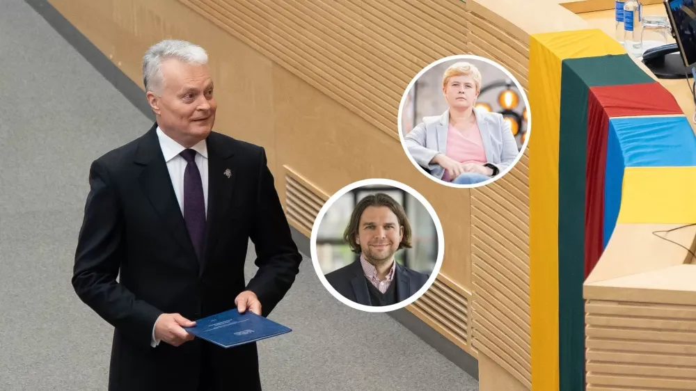 Politologai apie prezidento metinį pranešimą: „Pritrūko sistemiškesnių siūlymų, ne tik valstybės problemų išvardijimo“