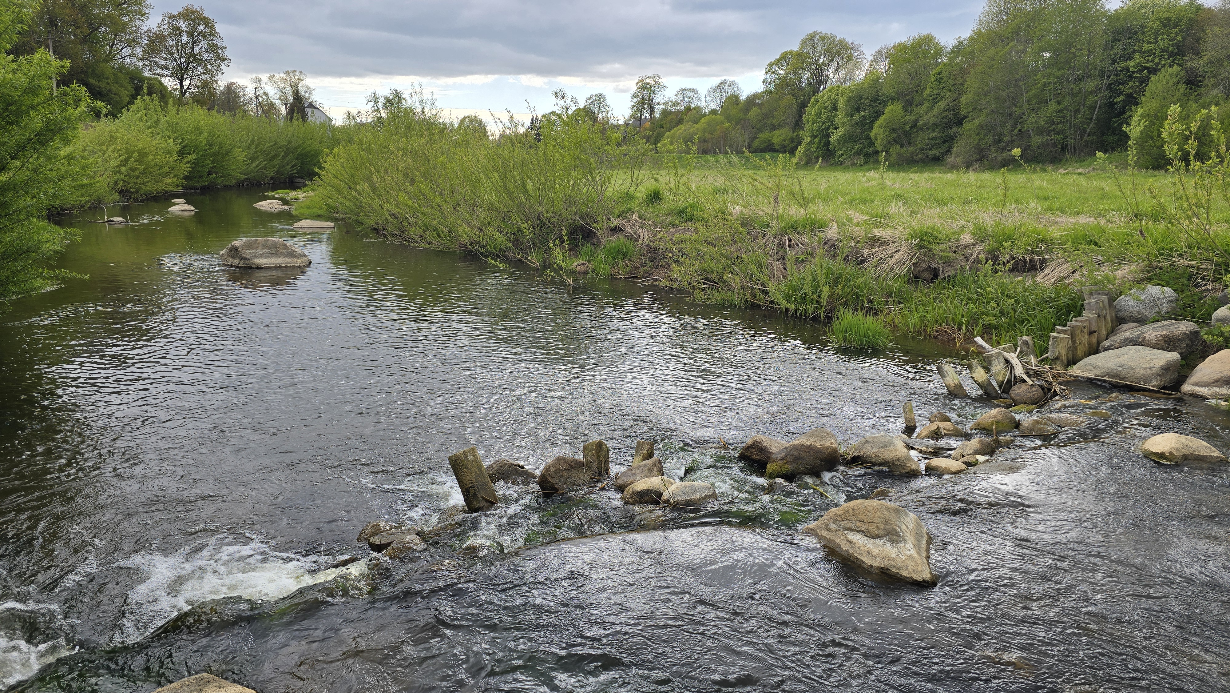 Nebaigta kelionė link laisvo Salanto