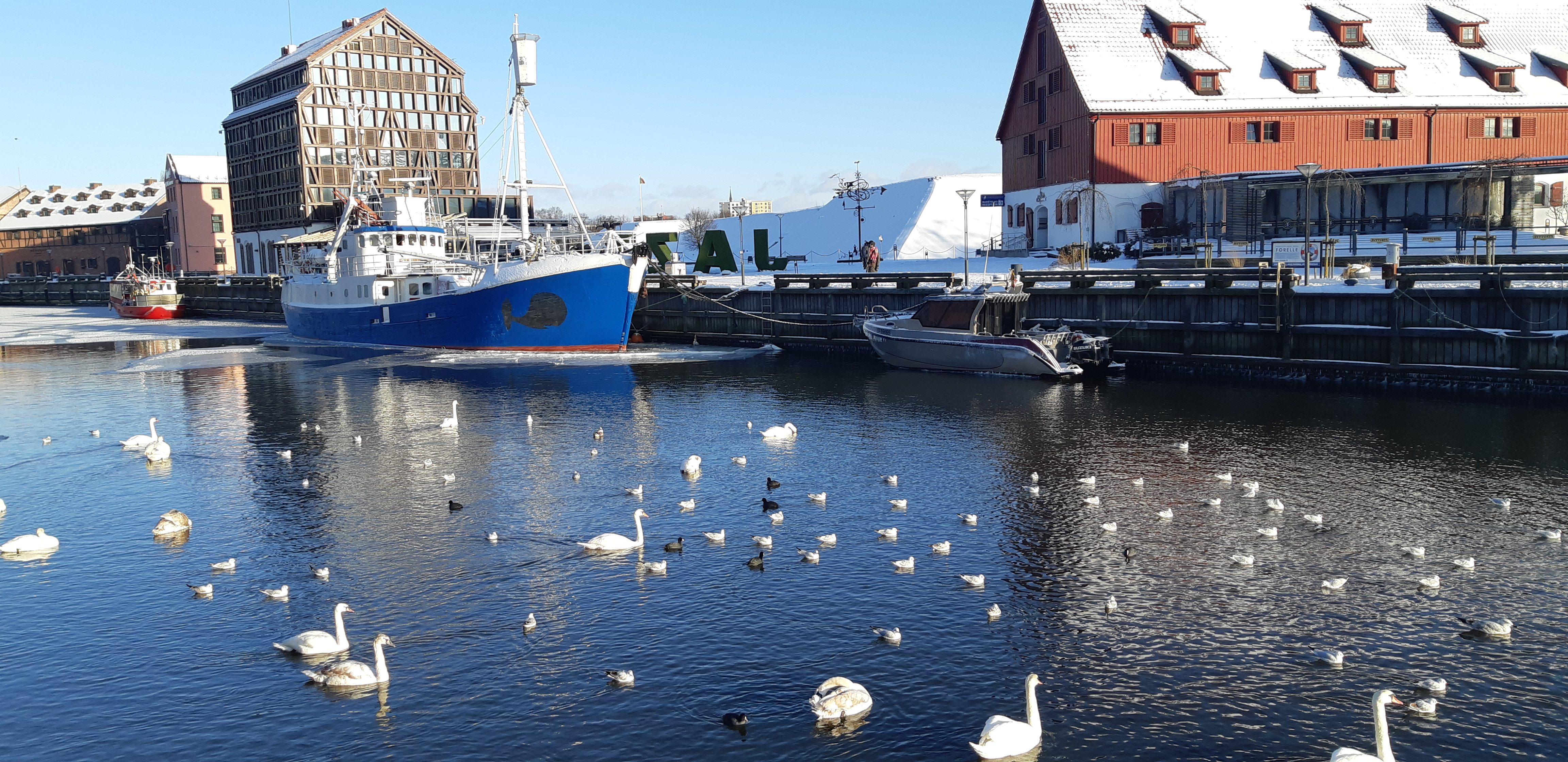 Klaipėda: ar prireiks guminių batų?