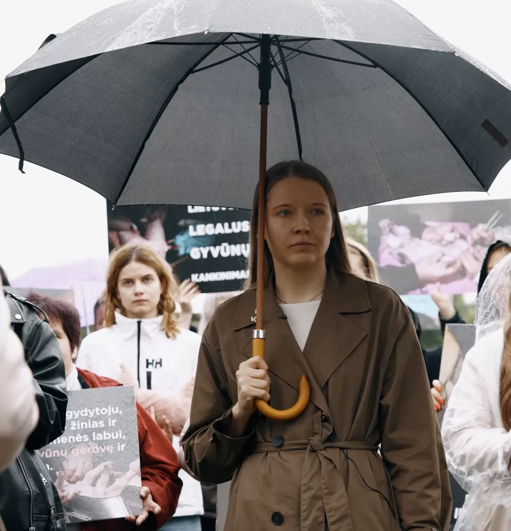 Prieš paršelių kastraciją be nuskausminamųjų protestuojanti G. Vaitkevičiūtė: „Mes nekalbame apie raketų mokslą“
