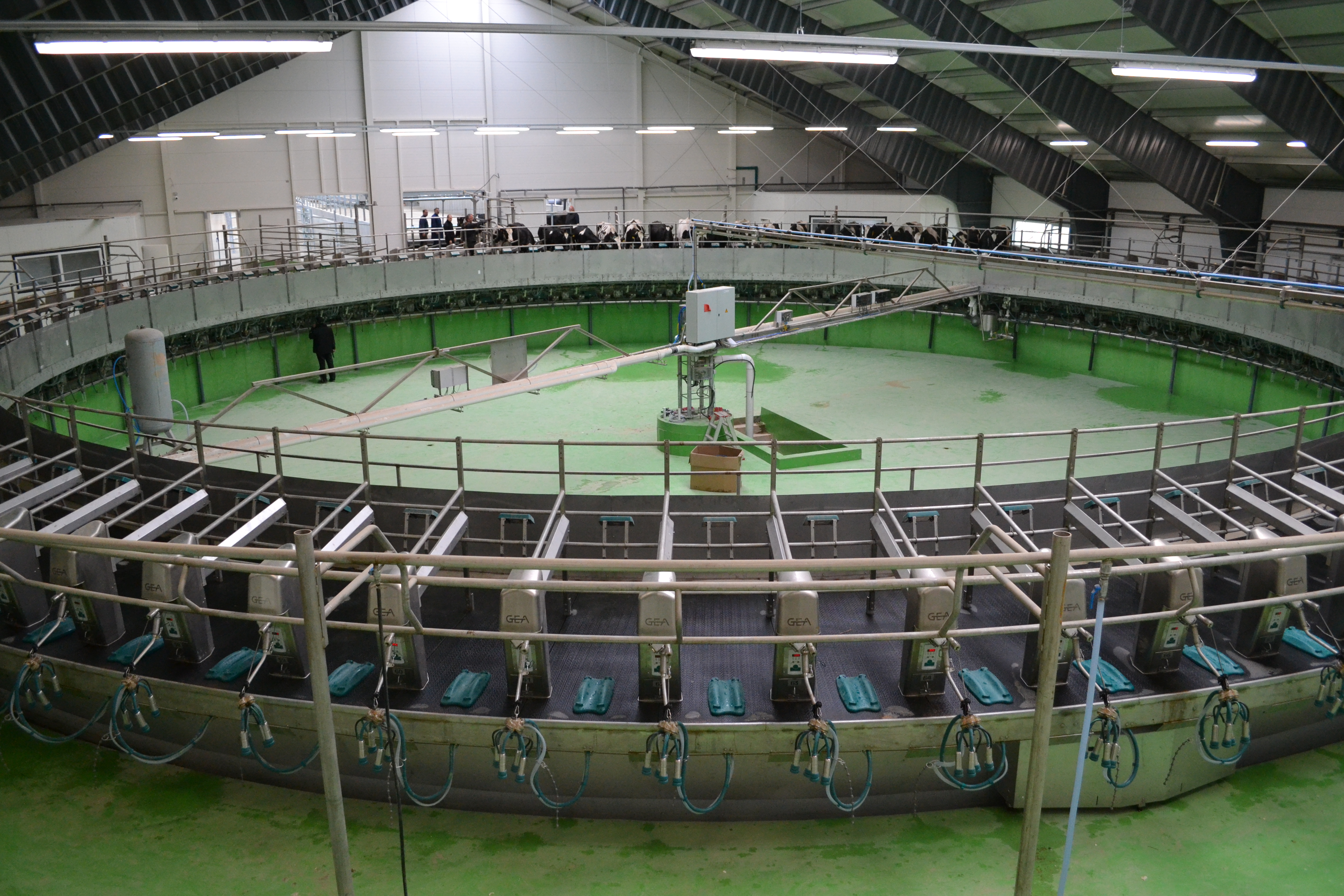 Vadovauti ar lyderiauti?