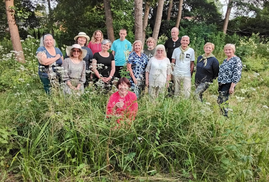 Valerijonų žydėjimas – bendrystės šventė