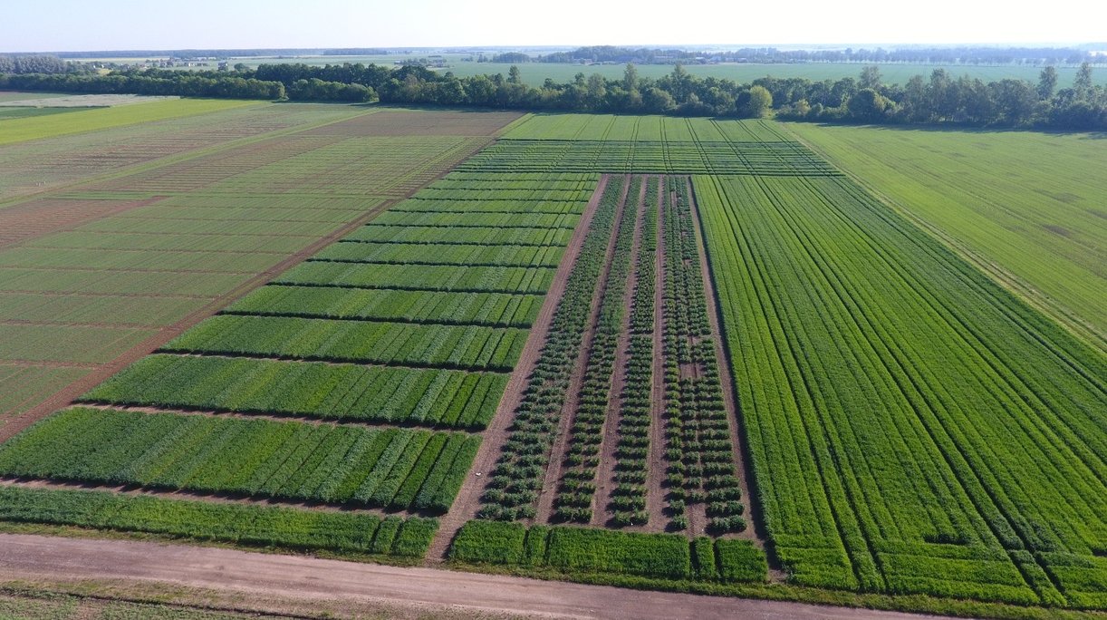 Ar įmanoma sukurti ekstremalioms sąlygoms atsparias augalų veisles?