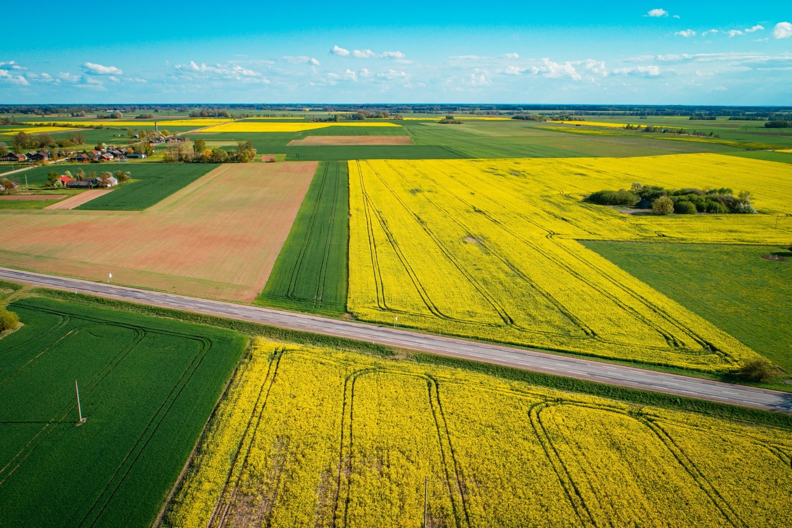 Rinkiminės pagirios: kaip ūkininkai mėgina pasidalinti dar likusius paramos trupinius