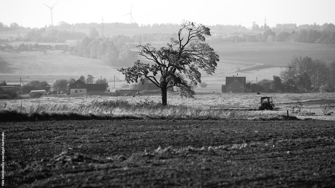 Kiek žmogus gali pakelti?