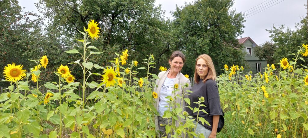 Šiūpariškių saulėgrąžos pakerėjo ir kretingiškius