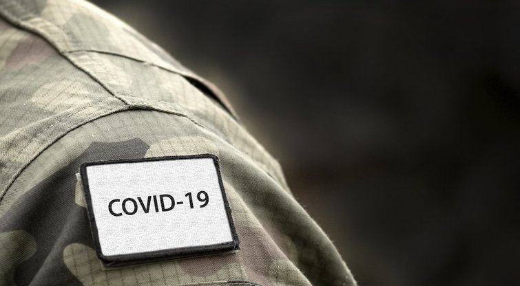 Kalbininkė Evija Lipartė: „Žodis kaip bitė – turi ir medų, ir geluonį“