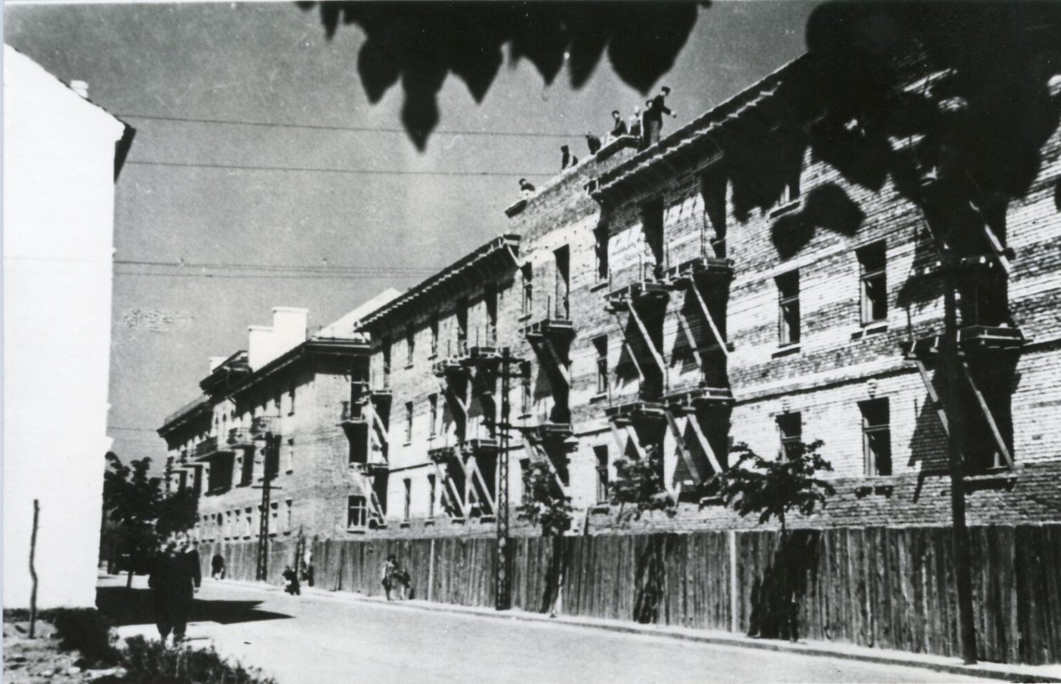 Iš direktorių – į kiemsargius