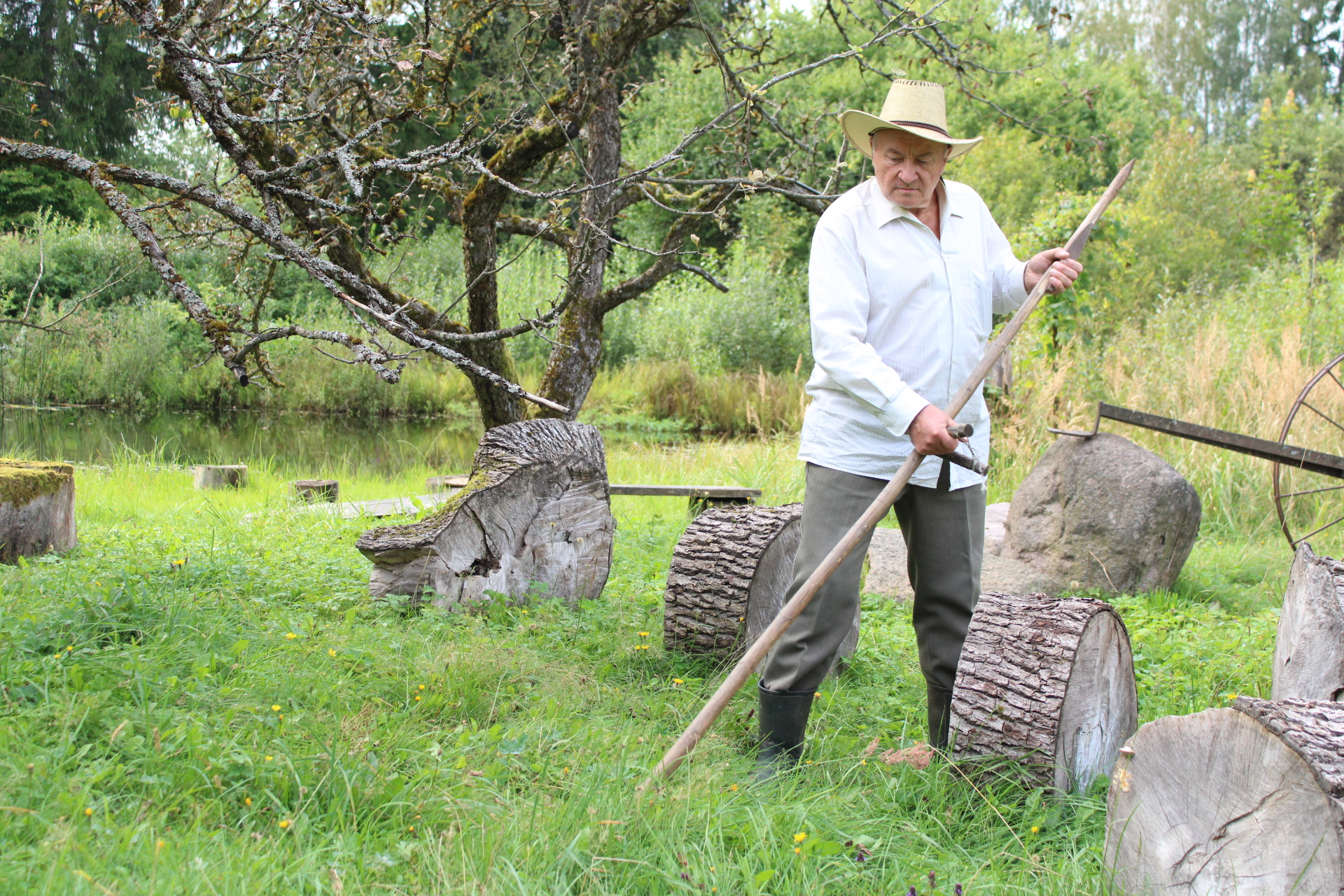 Išdraskyto dvaro ponai kumečių namuose, magnetu veikianti senelių sodyba, žoliapjovių burzgesy surūdiję dalgiai ir klajūnas šuo, nusipelnęs vietos vėliavoje