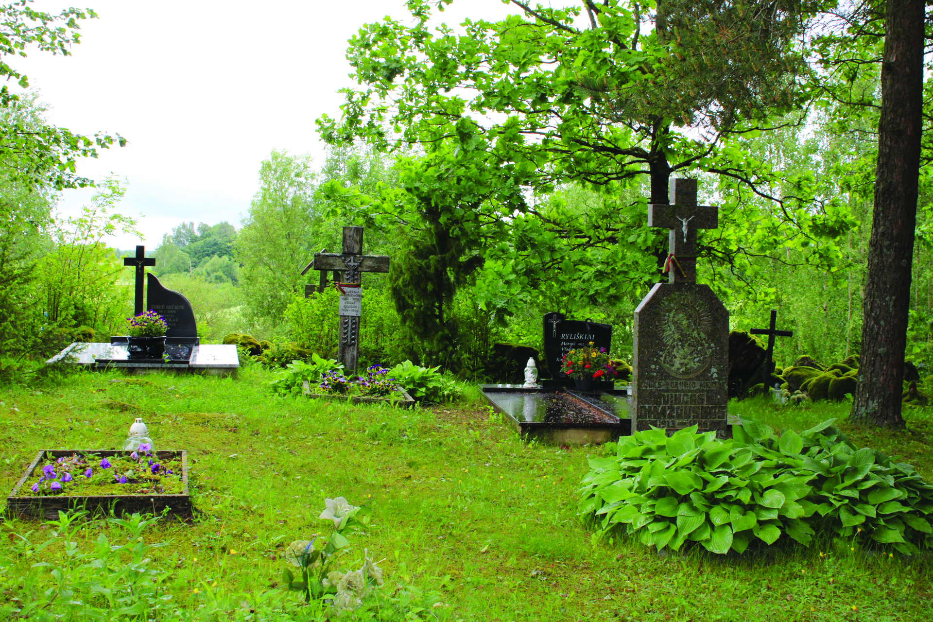 Kermošautojai iki saulės laidos, žaibo pargriautas milžinas, basakojai bėgliai ir kur dingo geradario išsaugotas kryžius