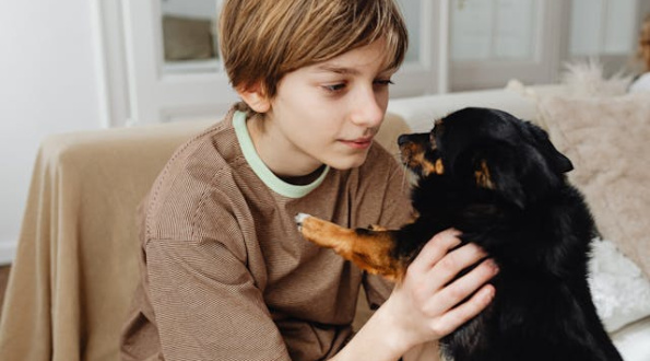 „Būti kartu“. Apie kaniterapiją, autizmo epidemiją ir mokyklų langus Singapūre