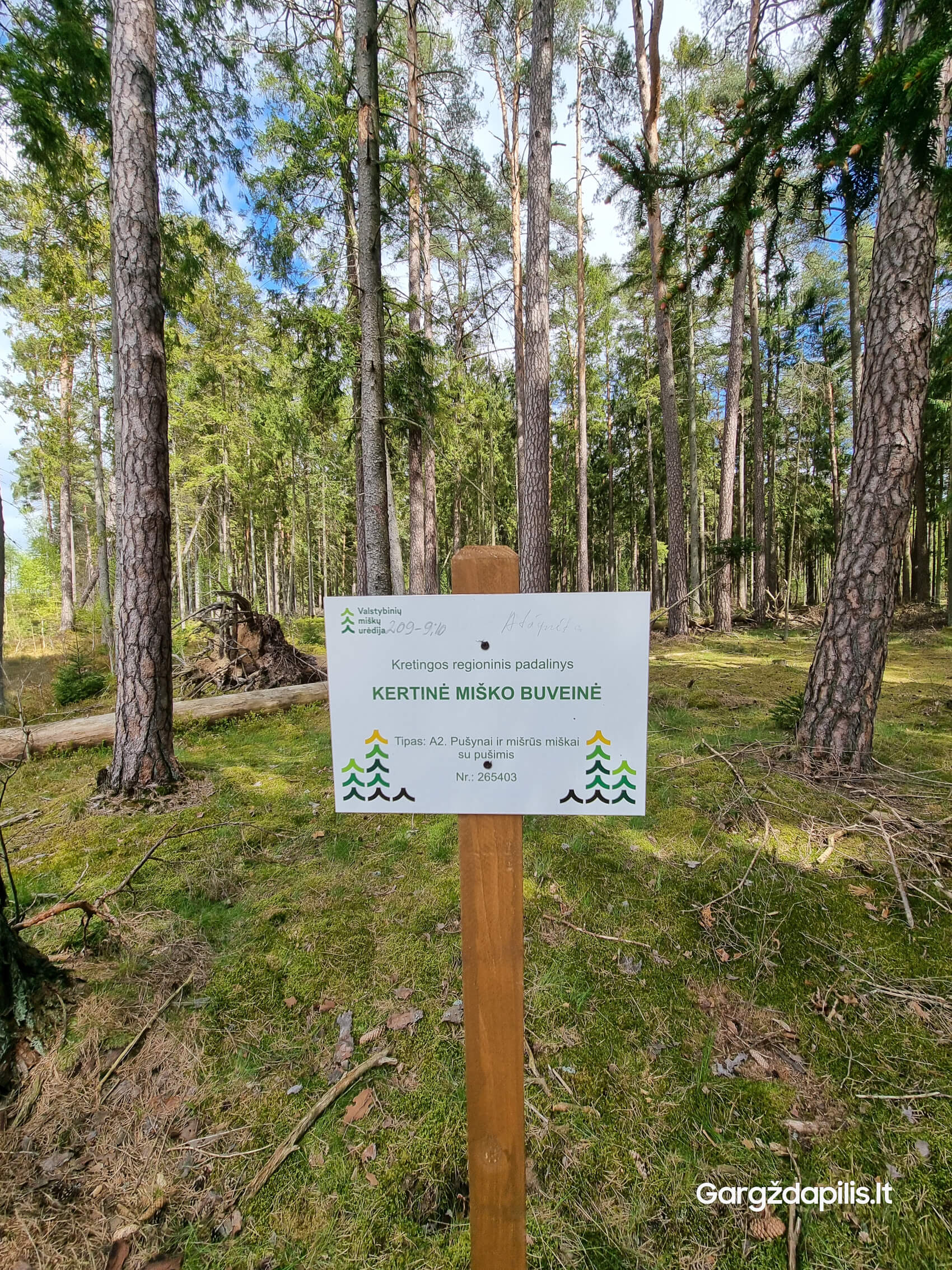 Priemiesčio miškas - visuomenės veidrodis