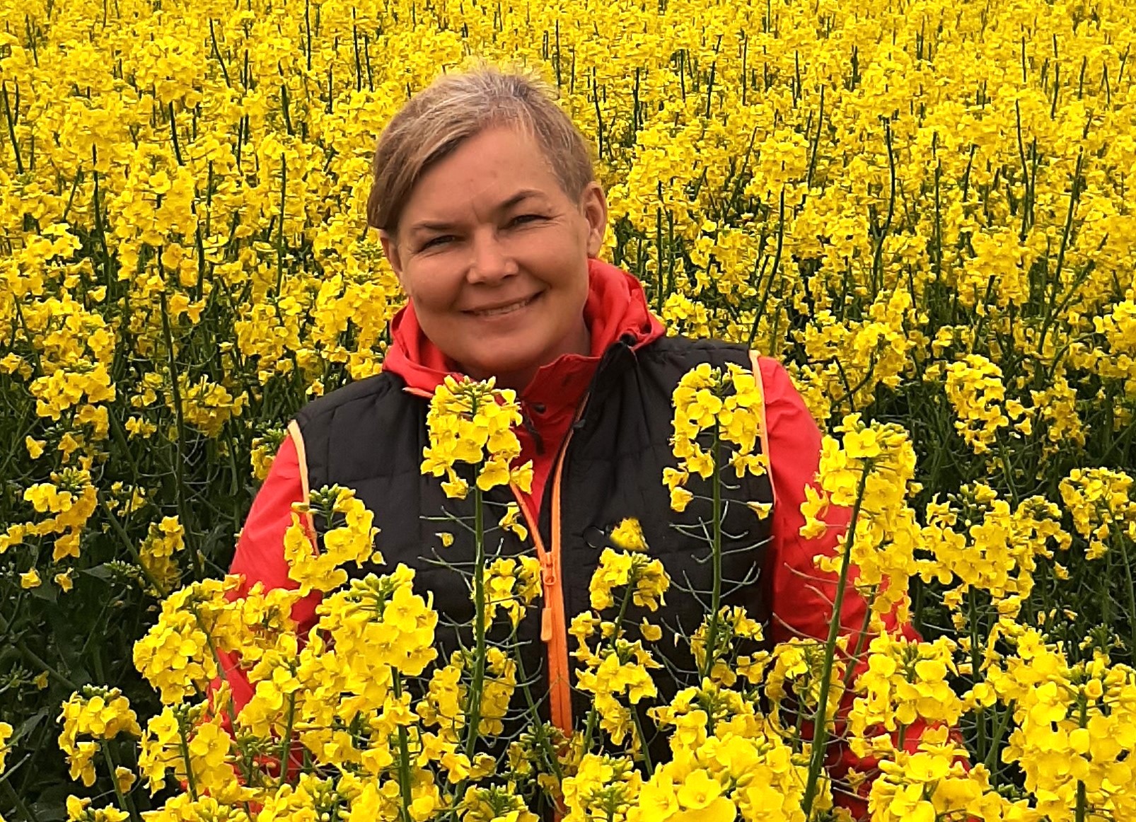 Priešsėliai, posėliai, o gal – įsėliai?