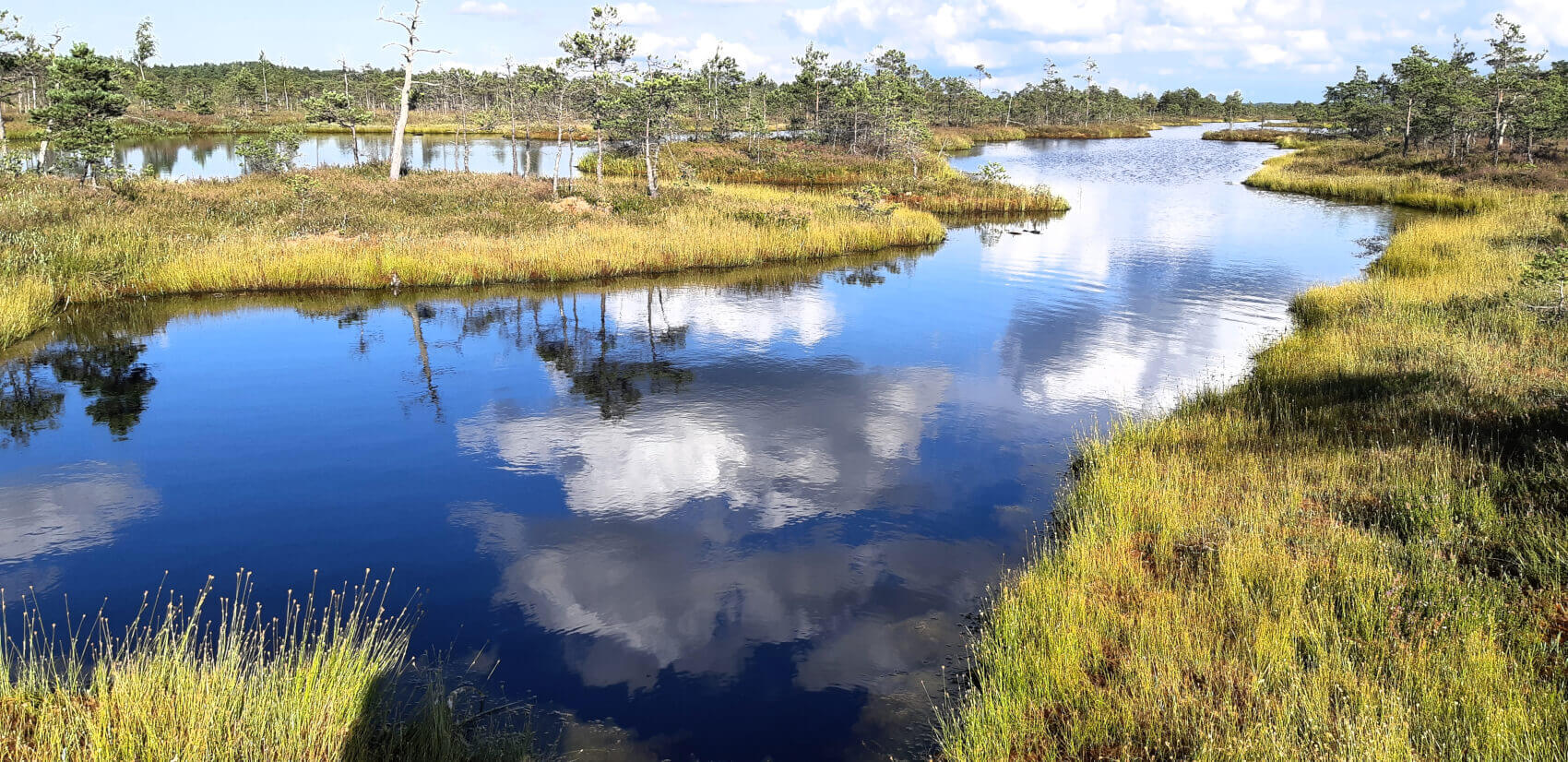 Pelkės - užmirštas klimato sąjungininkas