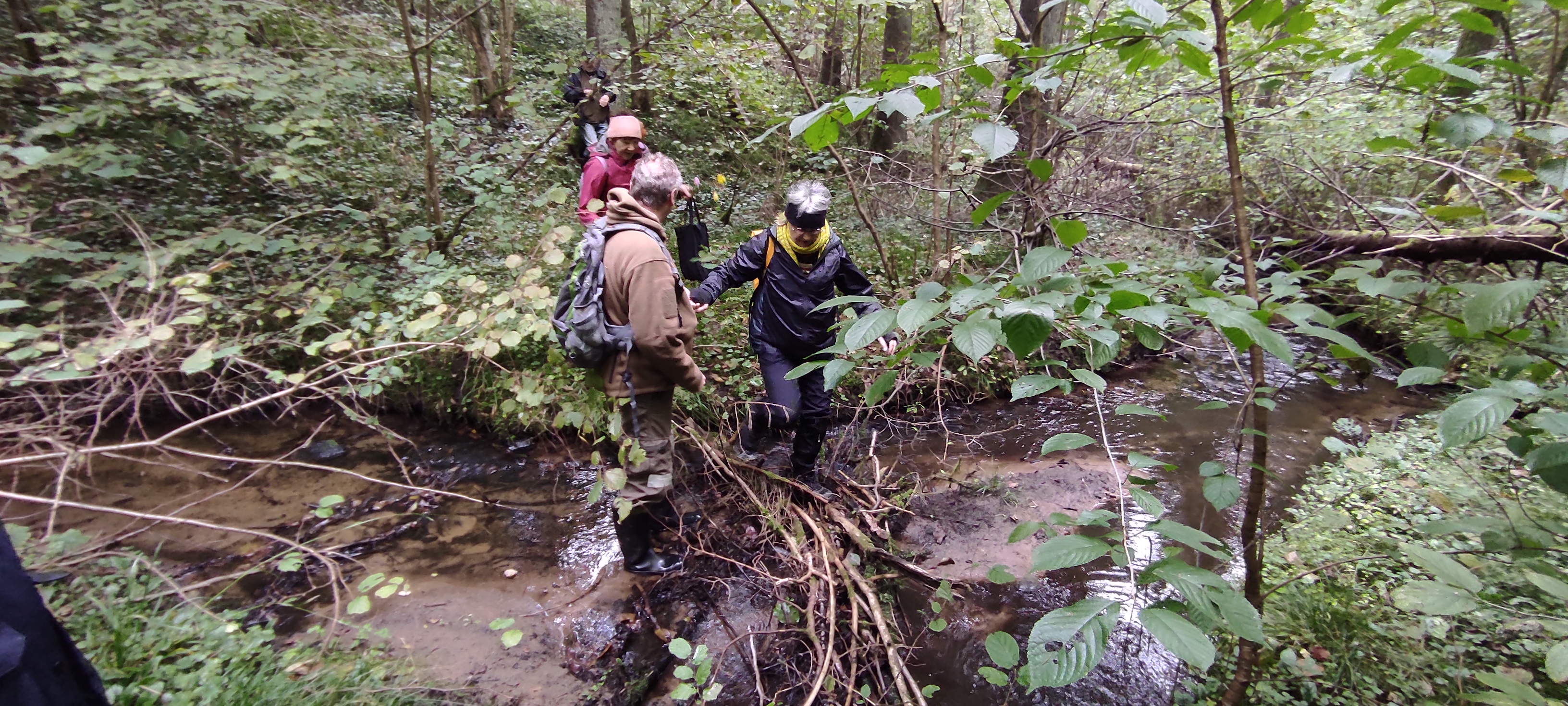 Revuonos upelis – ne vien srauni tėkmė, bet ir bebrų užtvankos, pelkės klampynė(I)