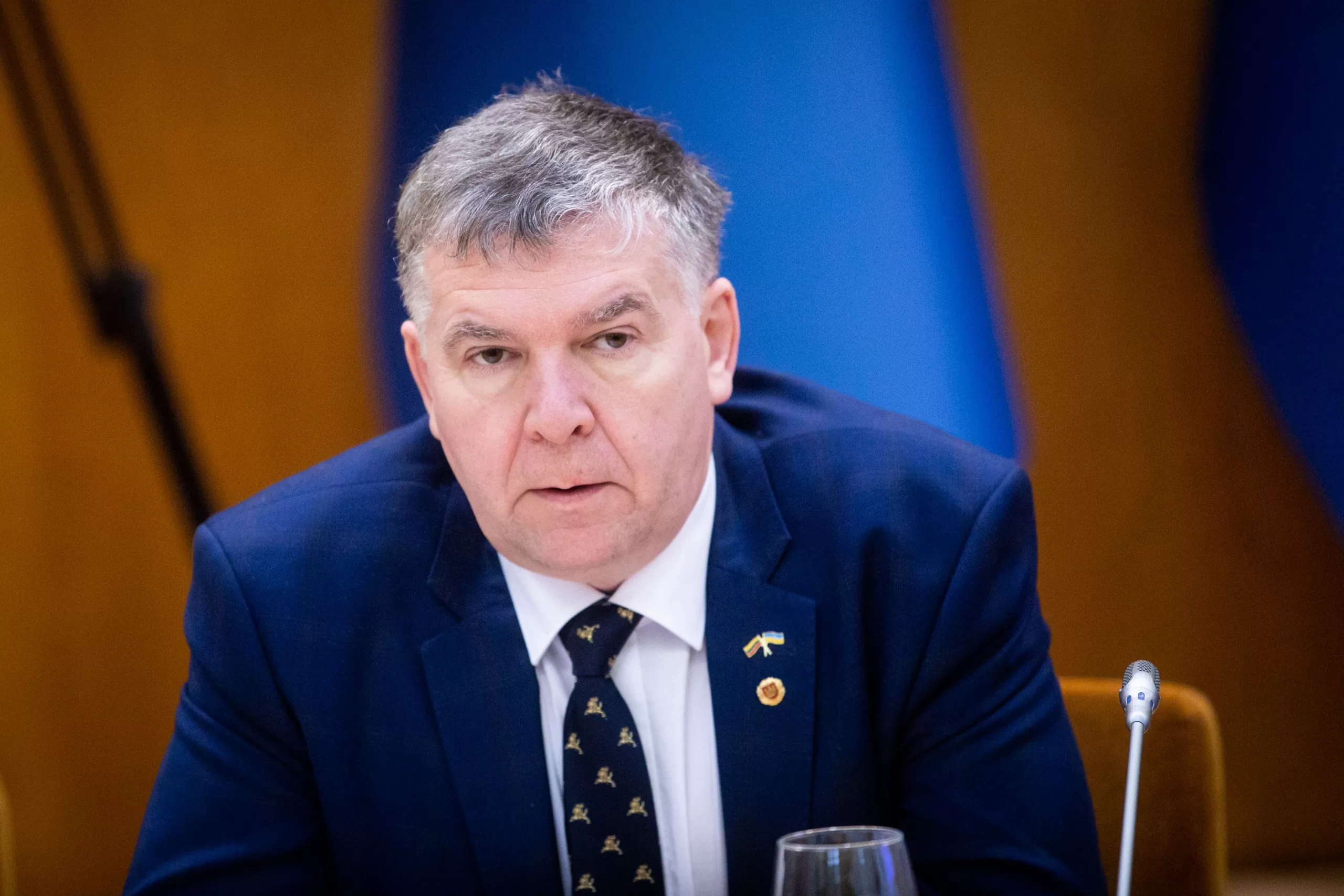 Istorikas V. Rakutis: „Valstybės branduolys buvo Palemono Lietuvoje ir vėliau plito į rytus“