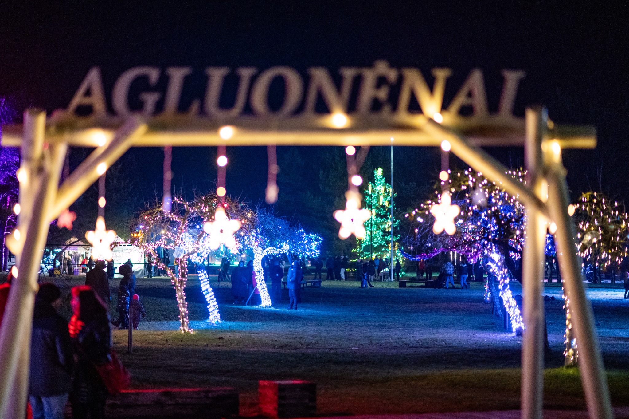 Agluonėnuose nušvis dešimtys papuoštų obelų