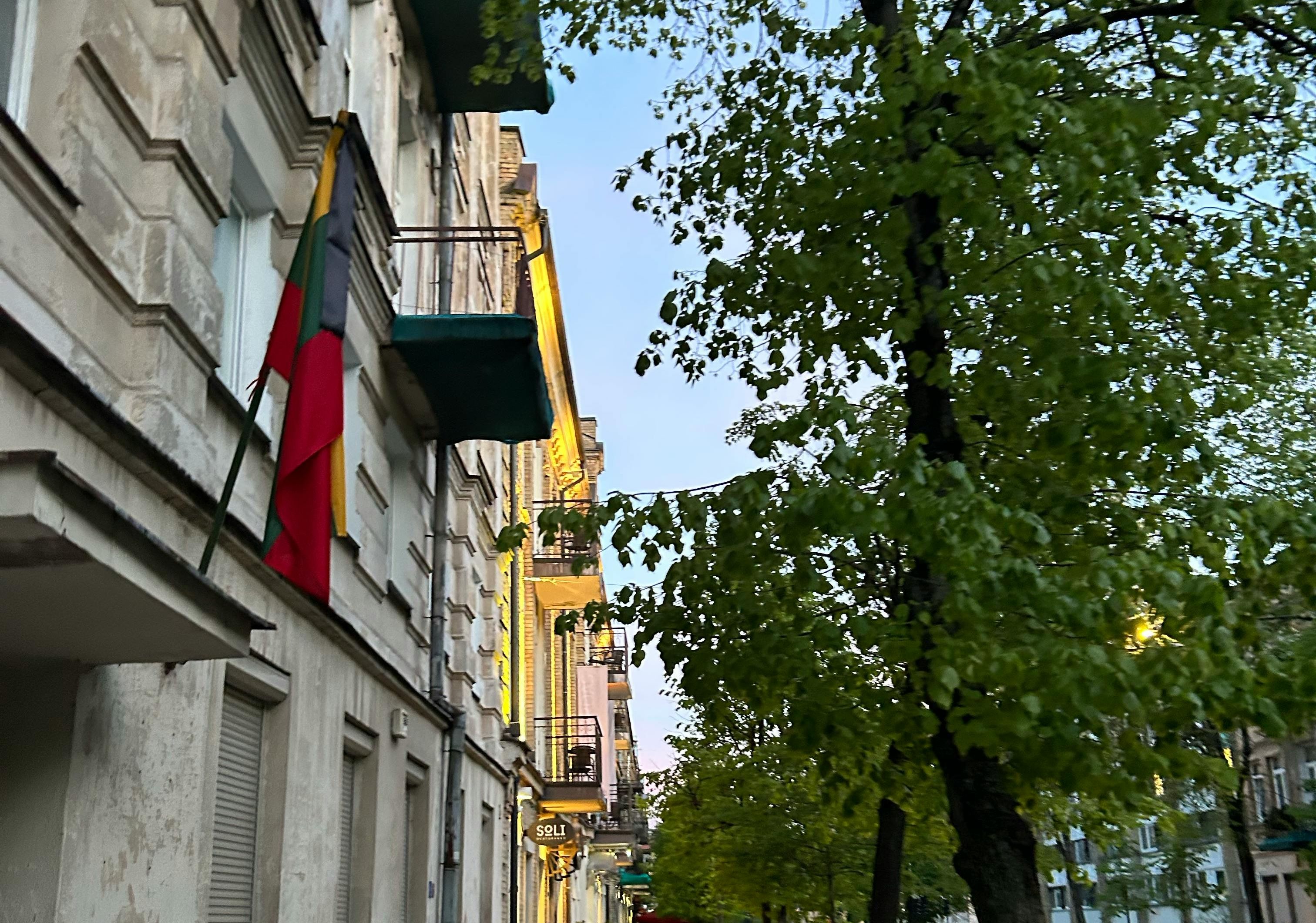 „Istorinės paralelės“. Vasario 16-oji: kokių diplomatijos klaidų geriau nekartoti?