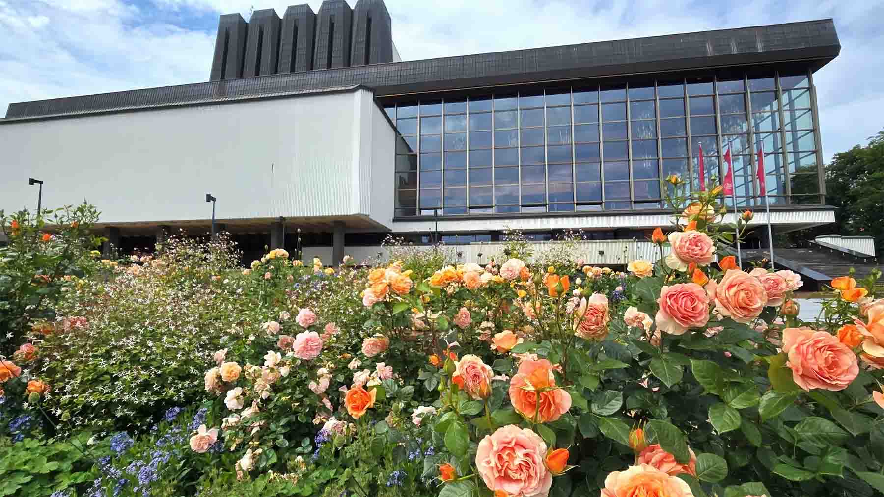 Wilno w kwiatach — coraz więcej inwestycji w zazielenienie stolicy