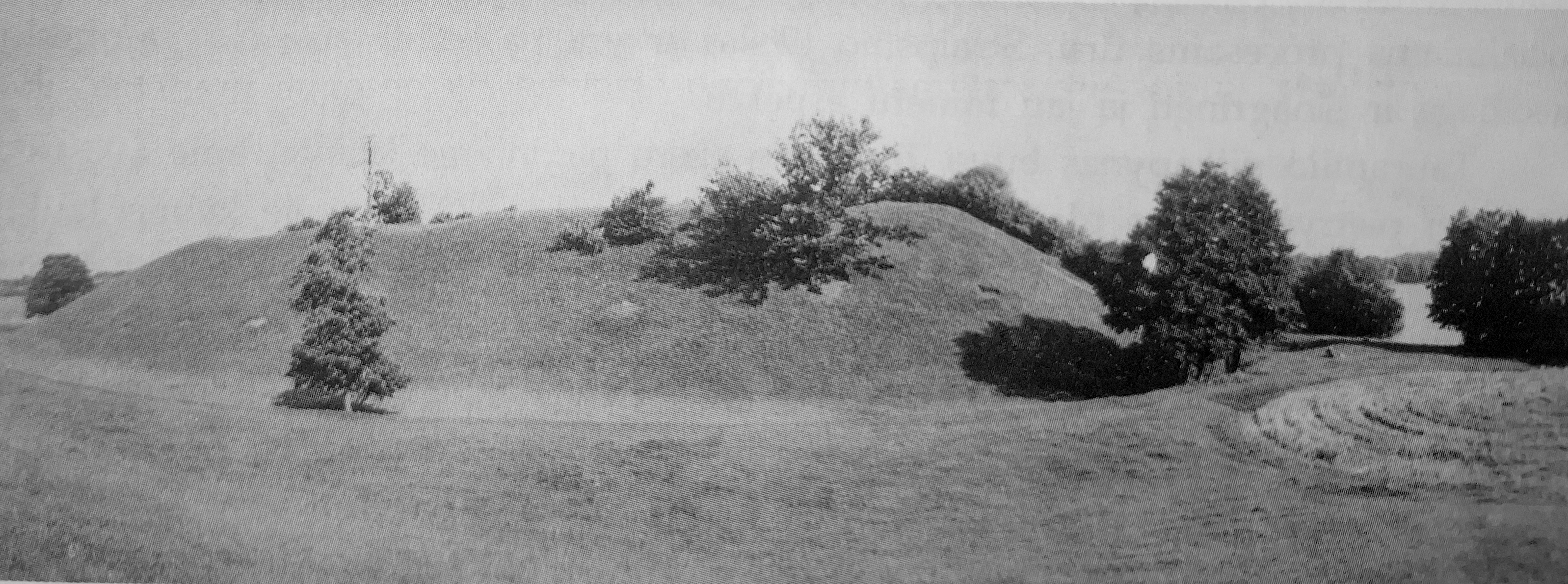 Taurapilio „kunigaikščio“ kapas