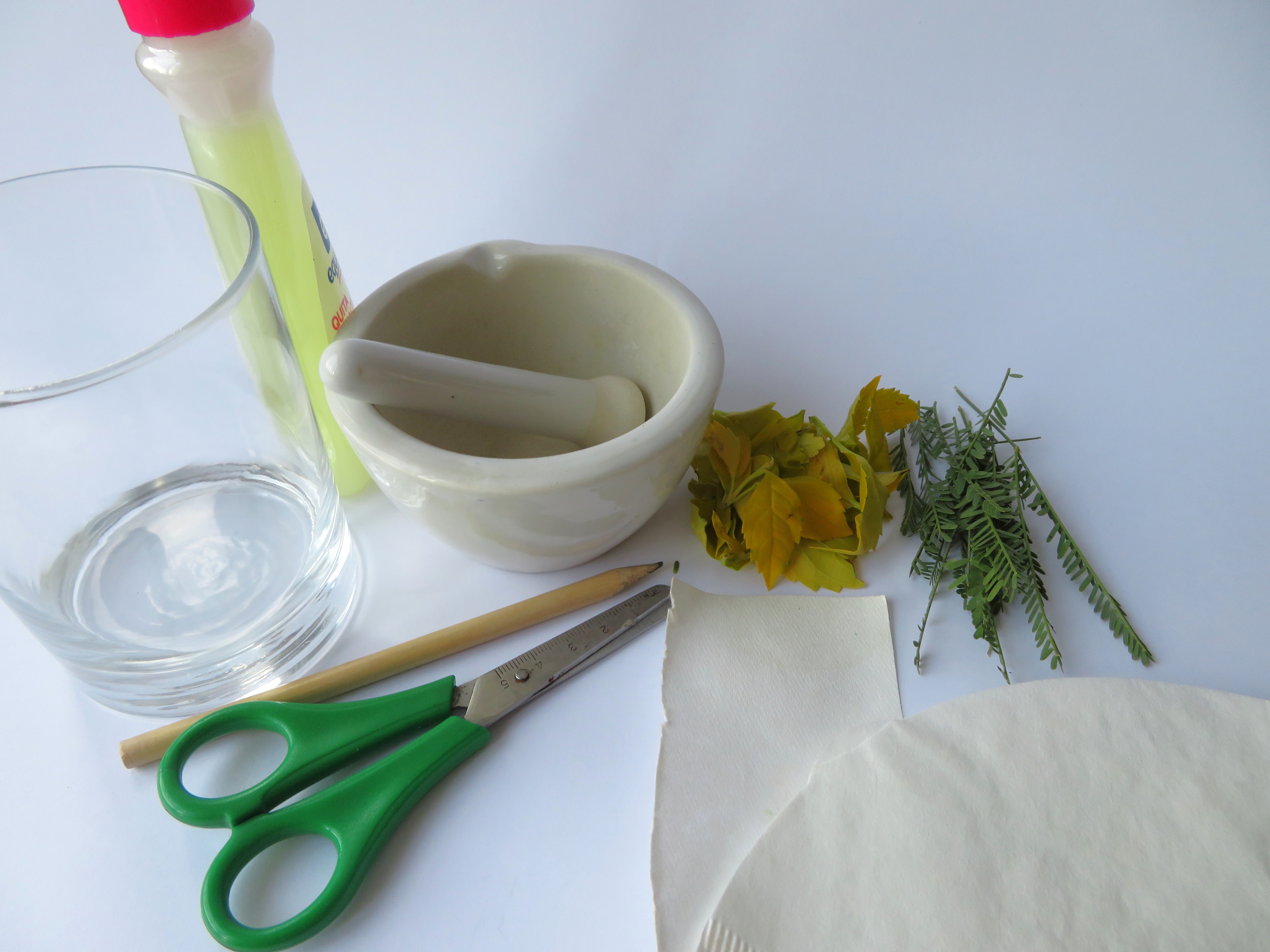 Eksperimentas. Kodėl lapai rudenį keičia spalvą?